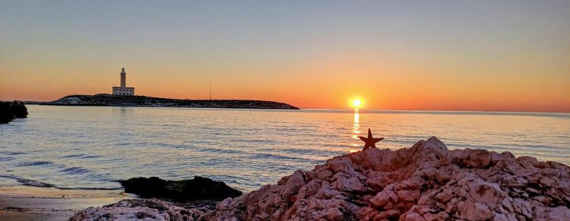 Appartamenti Pina Vieste Exteriér fotografie